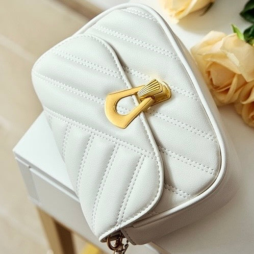 2025 Summer Luxe Genuine Leather Mini Chain Shoulder Bag