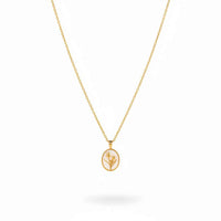Necklace Alessia Pearl Tulip Pendant - Timeless Everyday Elegance On Gold-Plated Silver Chain Velanci